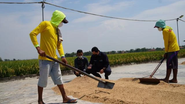 Blusukan ke Cirebon, Erick Thohir Minta Perbankan Terus Ikut Jaga Ketahanan Pangan