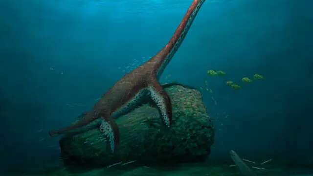 Ilmuwan Temukan Spesies Baru Plesiosaurus di Jerman, Seperti Apa Bentuknya?