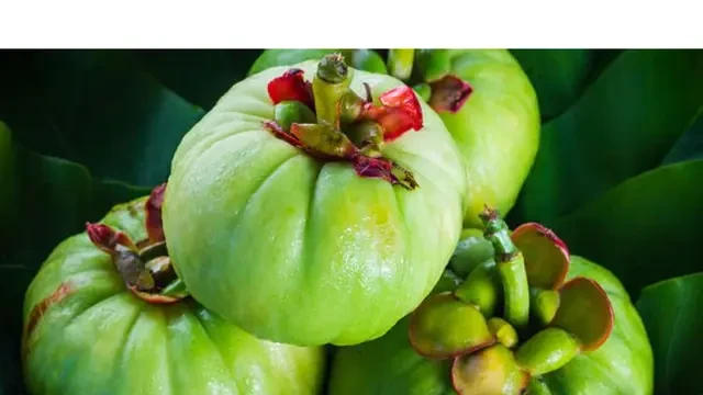 Asam Gelugur: Buah Asam yang Bukan Cuma Segar, tapi Juga Bikin Langsing