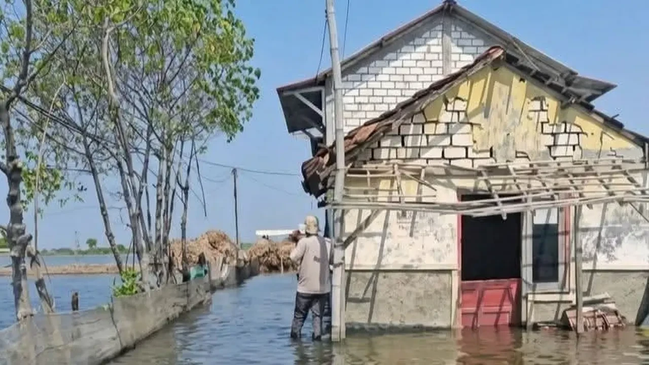 Dampak Parah Banjir Rob di Pati