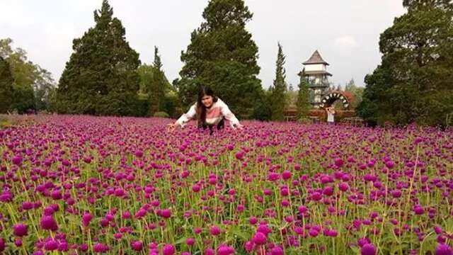 Pesona Indah Taman Bunga Nusantara, Cocok untuk Liburan Long Weekend