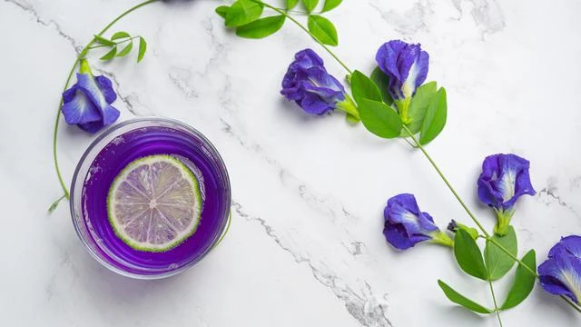10 Khasiat Bunga Telang untuk Kesehatan dan Kecantikan, Kaya Antioksidan dan Vitamin