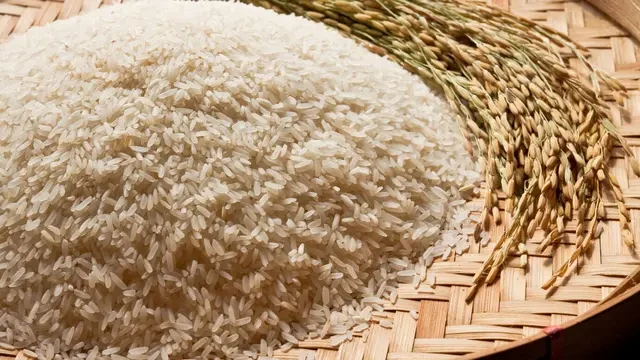 Maggiri Beras, Tradisi Menanam Padi Bersama di Maros dan Makassar