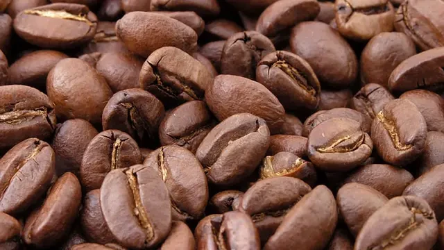 Kopi Sumatera, Permata Nusantara yang Menawan Dengan Cita Rasa Berat dan Aroma Rempah