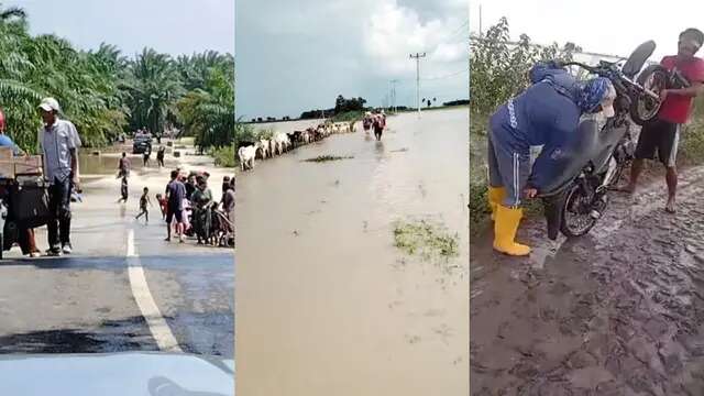 Tanggul Way Katibung Jebol, Warga di 5 Desa Lampung Selatan Mengungsi Akibat Banjir