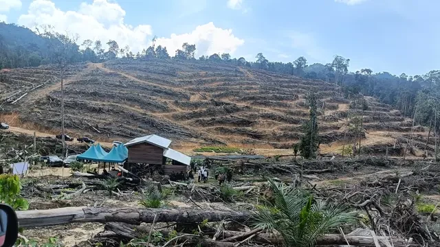 Pengosongan Taman Nasional Tesso Nilo, Satgas PKH Diminta Tidak Lakukan Pendekatan Militer