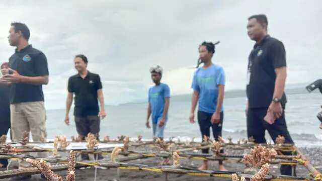 Upaya Pulihkan Ekosistem Laut di Selat Bali, Nelayan Tanam Ribuan Terumbu Karang di Pesisi...