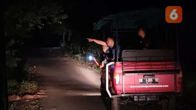 Safari Malam di Taman Nasional Way Kambas, Sensasi Eksplorasi Satwa Liar di Kegelapan