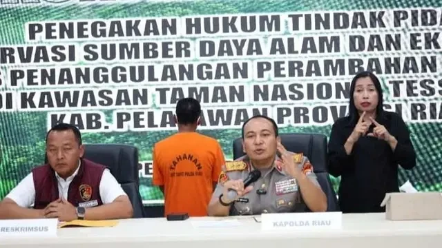 Pemangku Adat Jual Habitat Gajah di Taman Nasional Tesso Nilo, Klaim sebagai Tanah Ulayat