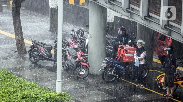 Bahaya Berteduh di Bawah Pohon Saat Hujan, Waspada Sambaran Petir dan Pohon Tumbang