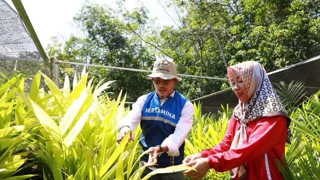 Pertamina EP Pendopo Field Bantu Mitra Binaan Ekspor Pinang