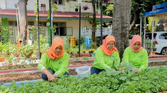 Didukung BRINITA, Poktan Dahlia RW 07 Cempaka Putih Barat Sulap Lahan Terbengkalai Jadi Le...