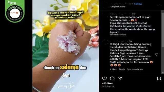 Awas Percaya Informasi Salah Penanganan Gigitan Hewan Berbisa, Simak Daftarnya