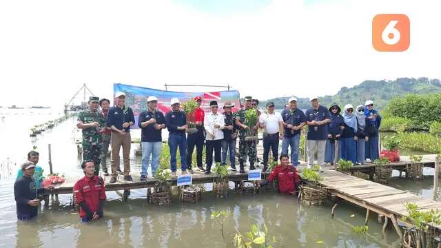 PTPN I Regional IV dan Itera Lestarikan Lingkungan Pesisir dengan Tanam 1.000 Pohon Mangro...