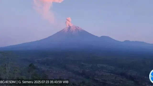Lima Kali Erupsi, Semeru Semburkan Abu Vulkanik Setinggi 1 Kilometer
