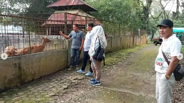 5 Harimau Mati di Medan Zoo, KLHK: Pengelolaan Satwa Belum Penuhi Standar Sejak April 2023