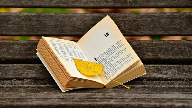 10 Cara Menulis Novel yang Menarik Bagi Pemula, Perhatikan Langkahnya yang Tepat