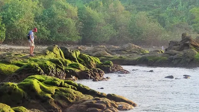 Intip Pesona Pantai Wediombo, Destinasi Berlibur Menarik di Yogyakarta