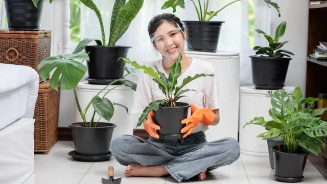 7 Rekomendasi Tanaman Daun Unik agar Taman Rumah Makin Menawan