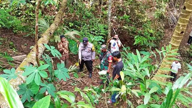 Tetes Nira Terakhir Sanmarta, Penderes dari Kebumen yang Tewas Jatuh dari Pohon Kelapa Set...