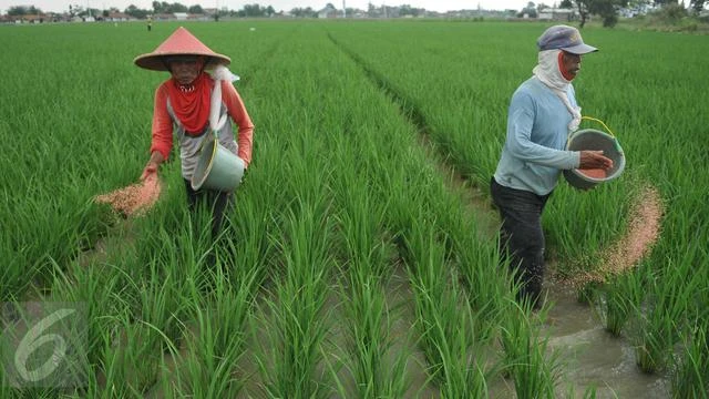 Jurus Saraswanti Anugerah Makmur Incar Pangsa Pasar 10 Persen
