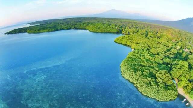 Menelusuri Keindahan Pantai Bama, Wisata Alam di Taman Nasional Baluran