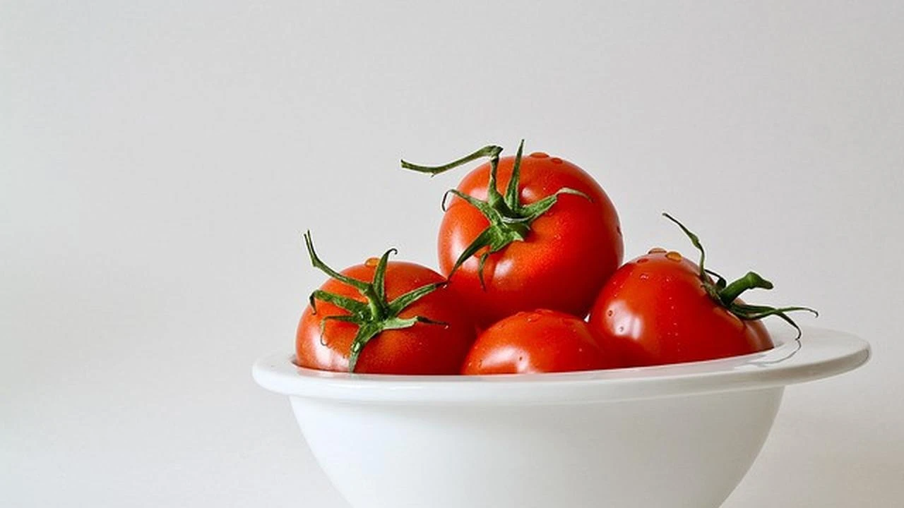 Trik Menumbuhkan Tomat Cherry di Pot Tanpa Ribet, Panen Warnanya Bikin Nagih