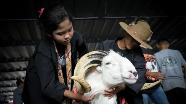 Mengenal Seni Raja Dogar, Salah Satu Pertunjukan Tradisional Garut