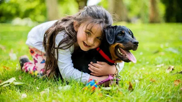 Tak Hanya Menggemaskan, Ini Manfaat Memelihara Anjing bagi Anak