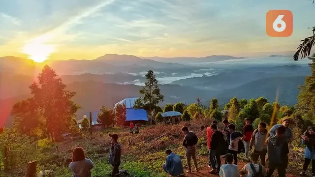 Hutan Pinus Dulamayo, Wisata Alam Dingin yang Memikat di Pagi Hari