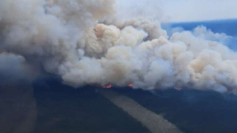 Intense wildfires and hurricanes likely as climate change pushes N.L. to hotter summers