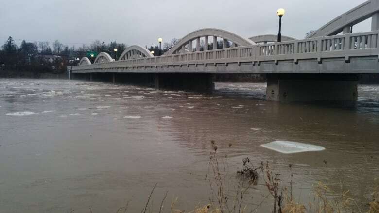 Flood watch issued for entire Grand River watershed as temperatures rise and snow melts