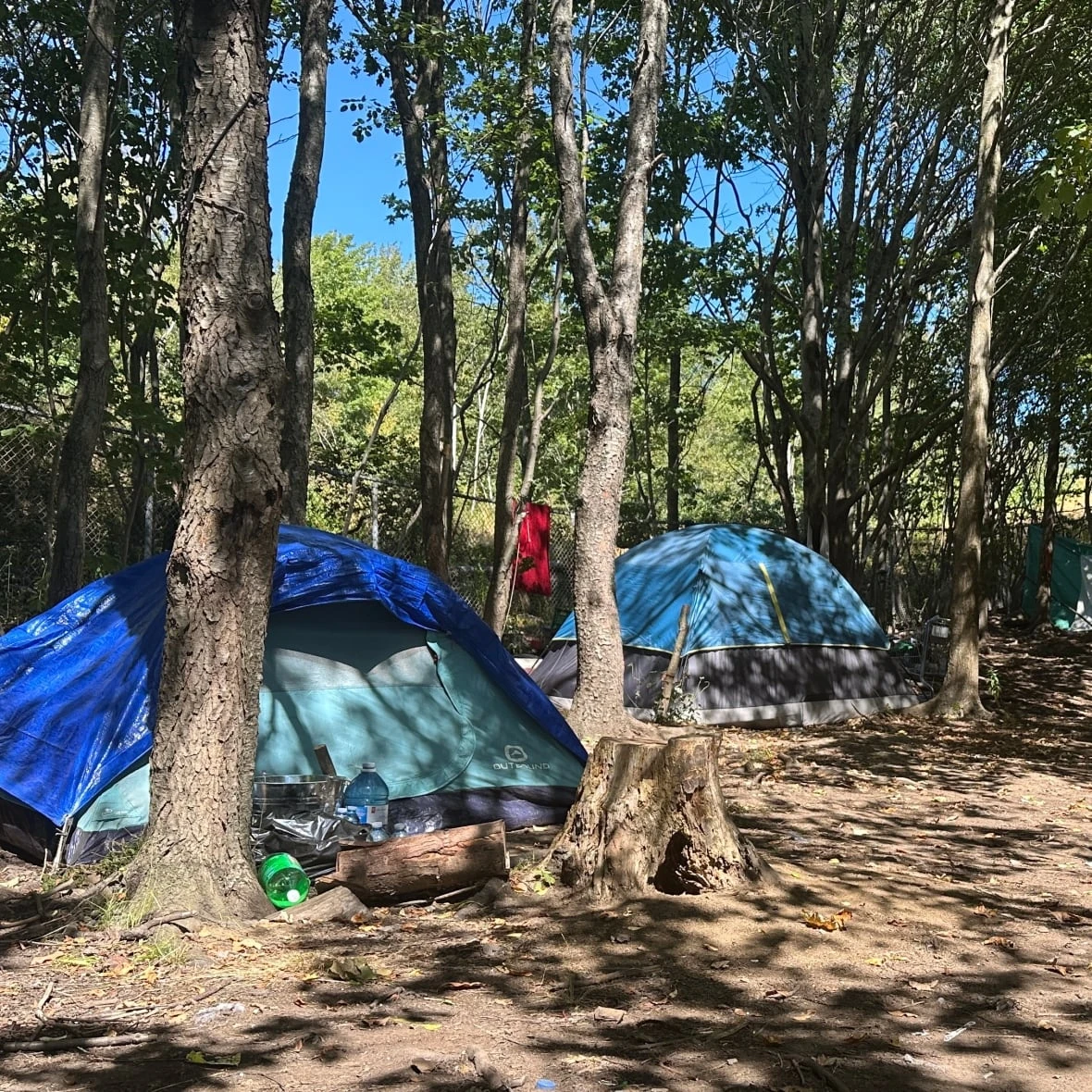 Homeless people in Nova Scotia's woods choosing to stay despite ban, wildfire risk