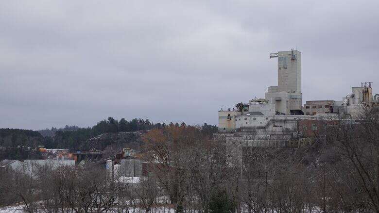 Espanola looking to move away from forestry a year after Domtar idled the mill