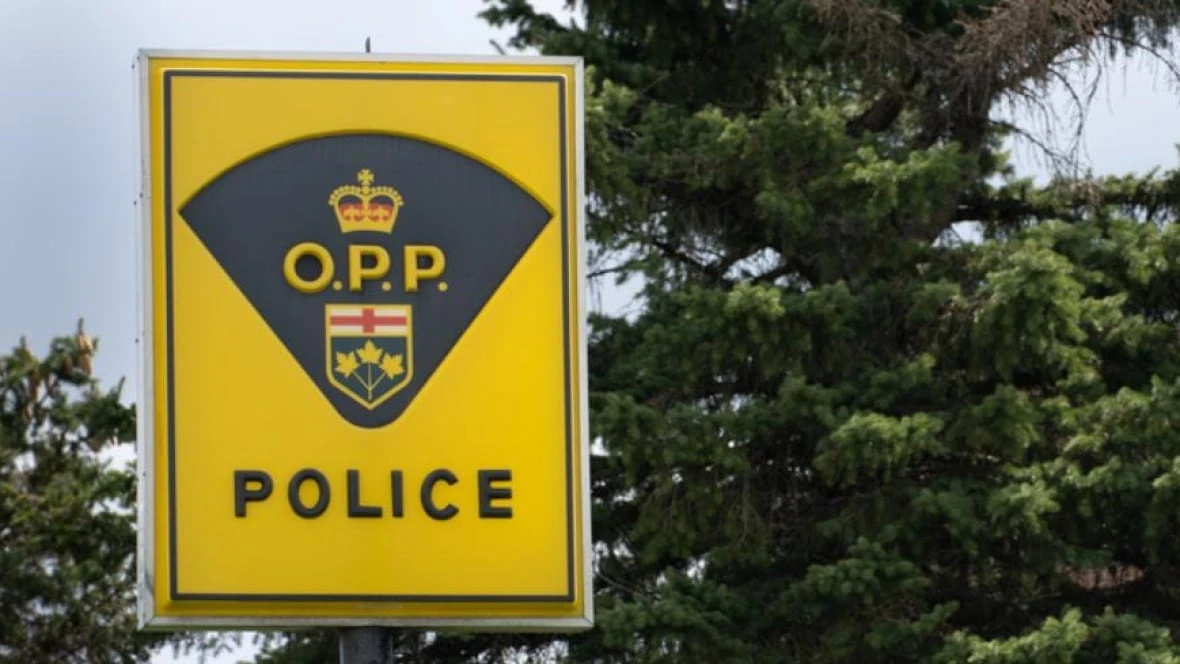 1 dead after bus, car collide near Sharbot Lake