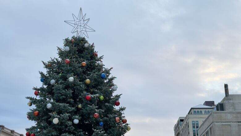 What's open and closed in Hamilton between Christmas and New Year's Day