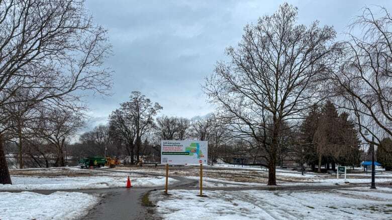 Trees chopped down in downtown's Ivey Park to make way for sewer work