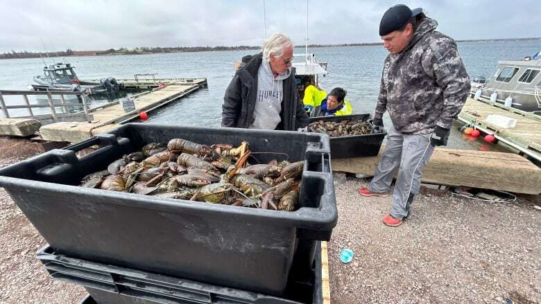 Lennox Island First Nation hoping for more access to lobster fishery