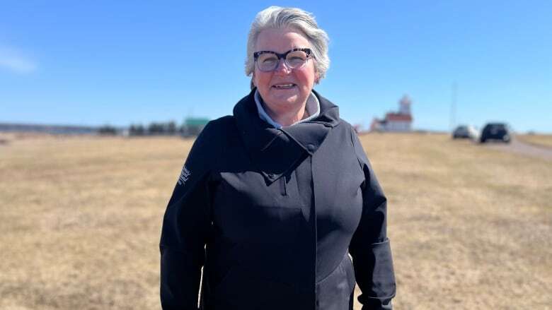 MLA floats idea of making P.E.I.-N.S. ferry service a provincial Crown corportaton