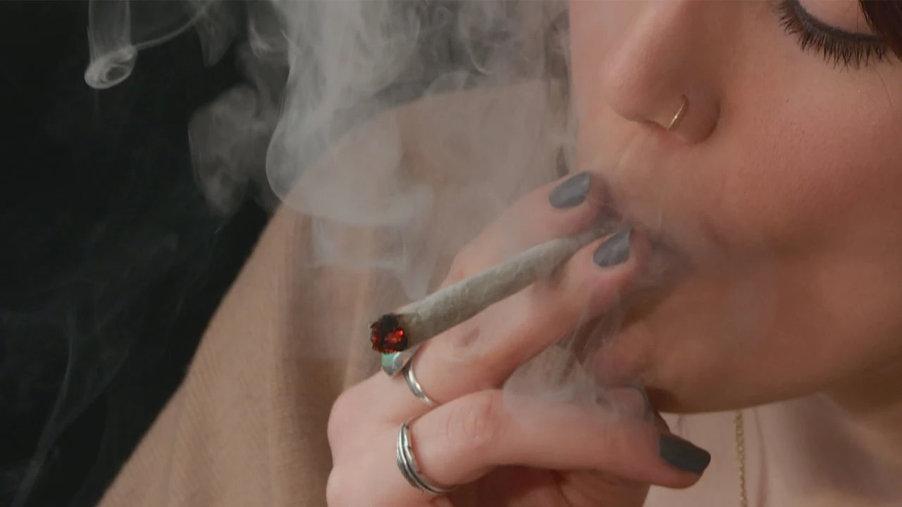 More potent cannabis means higher risk of psychosis, study suggests