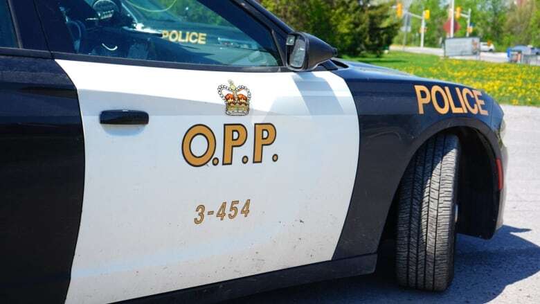 Lakeshore man involved with 'youth organized activities' charged with sexual offences