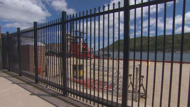 Denmark could inspire a fix for St. John's harbour fence, N.L. architect says