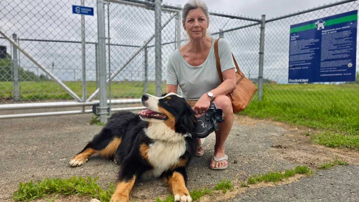 As the cost of pet meds soar, N.B. won't allow pharmacies to sell cheaper options to owners