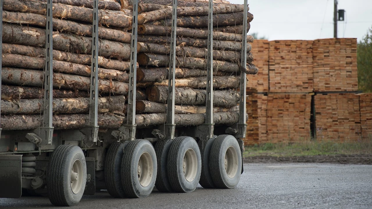 As Ear Falls, Ont., grapples with its sawmill's shutdown, industry leaders push for support