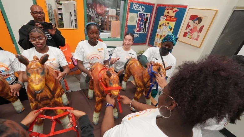 Ontario vet groups aim to increase diversity within the field