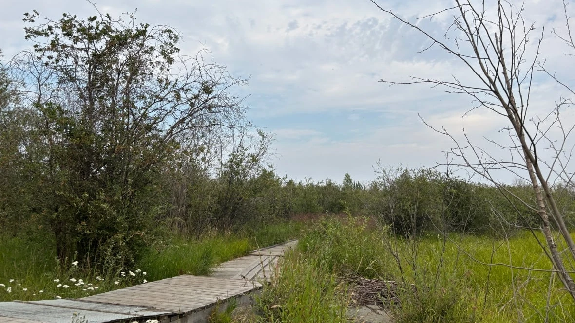 Yellowknife city council approves acquisition of land on Willow Flats, Frame Lake