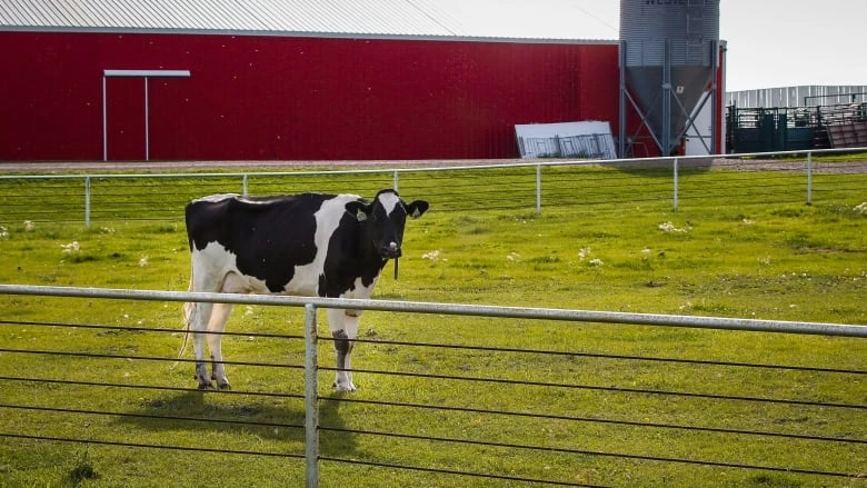 How the public plays a role in keeping Alberta's crops watered, livestock hydrated