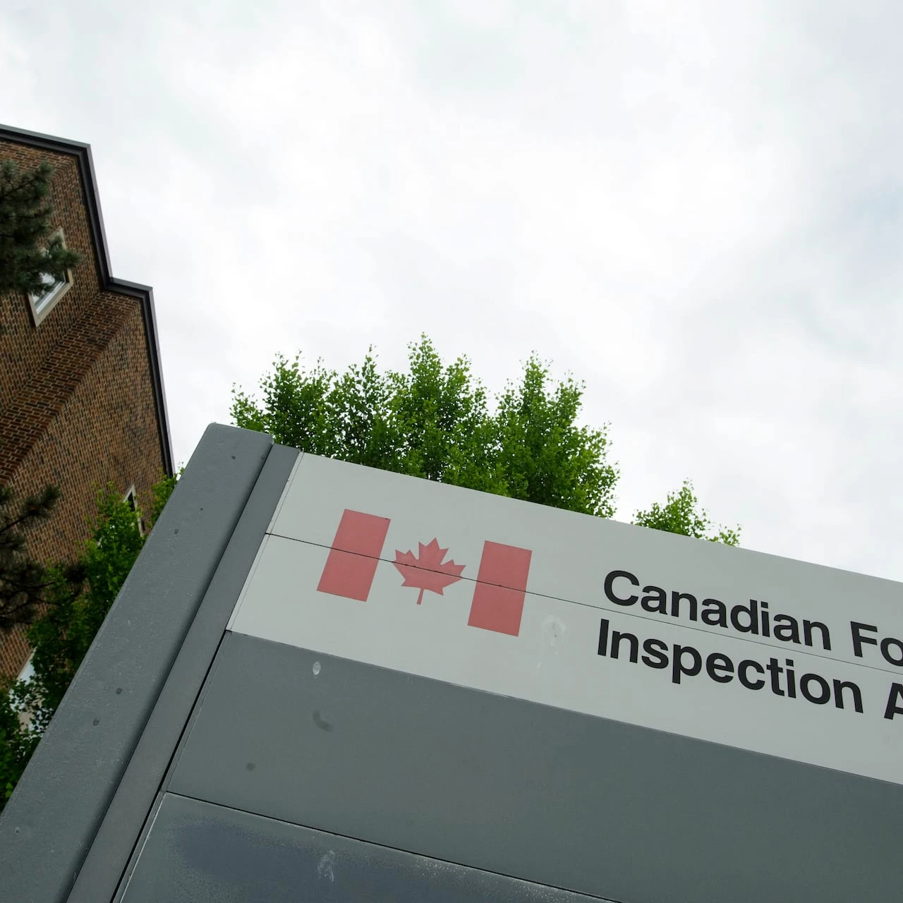 Microgreens sold in Ontario, Quebec recalled due to possible E. coli contamination