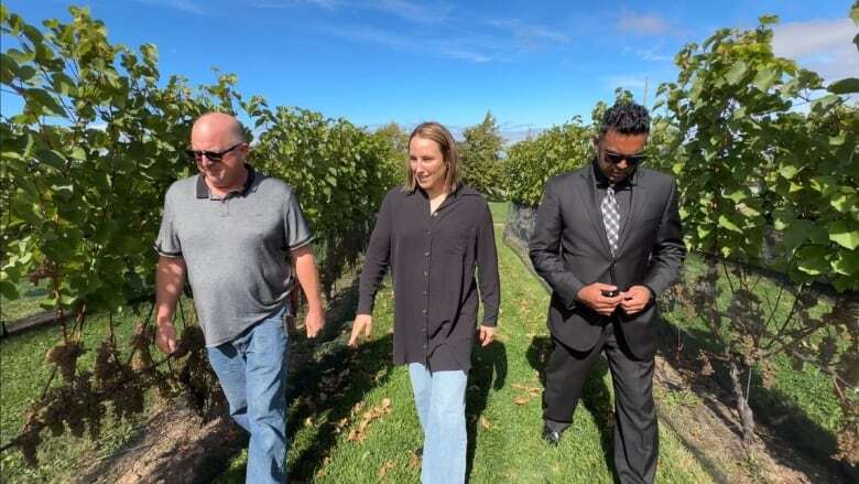 N.S. wine growers walk away from government working group