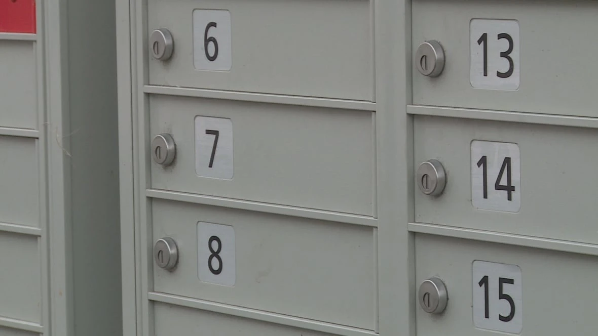 Thousands of letters to patients sat unclaimed in community mailboxes for a year, NLHS says